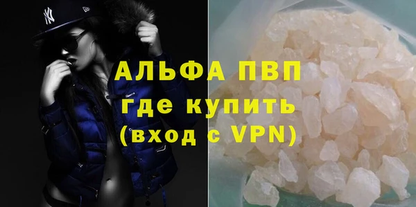 стаф Богородицк
